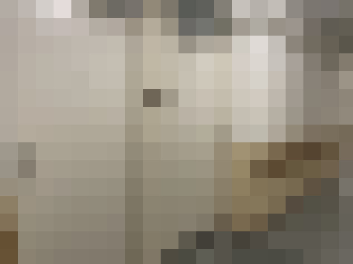  / #8