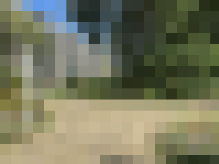  / #15