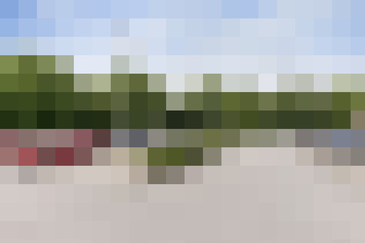  / #15