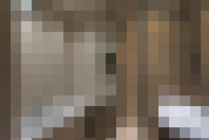  / #19