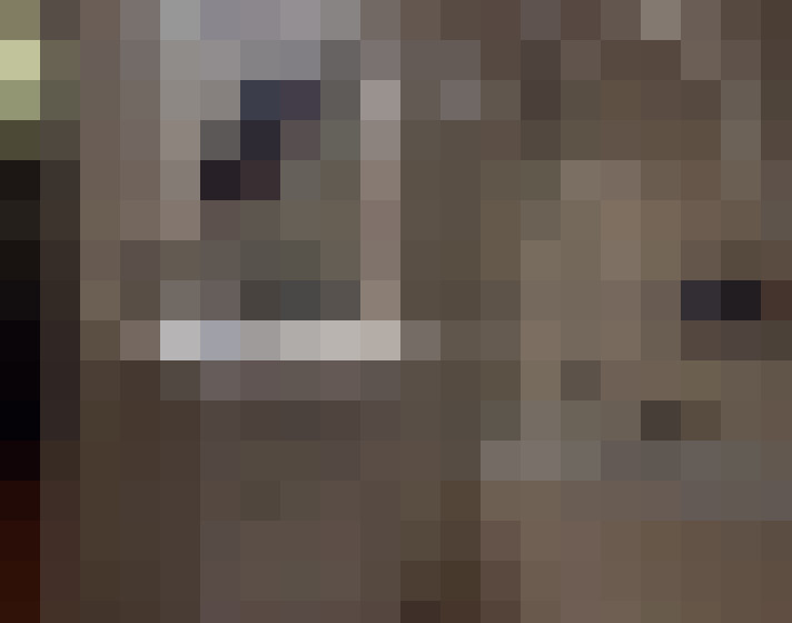  / #8