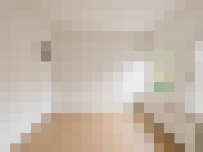  / #11