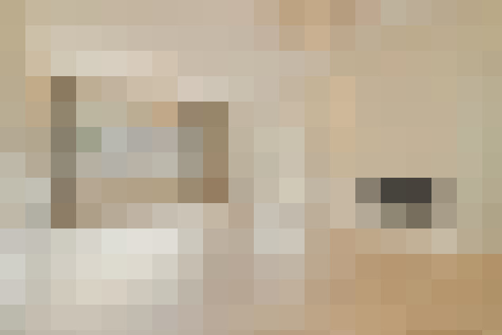  / #19