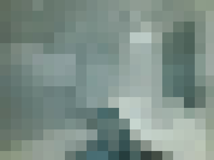  / #23