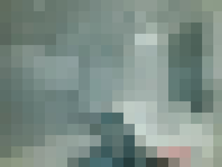 / #29