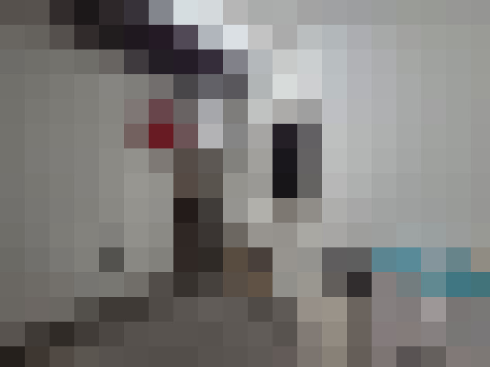  / #15