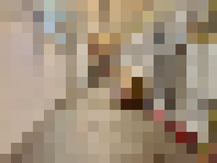  / #17