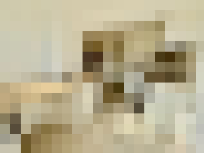  / #8