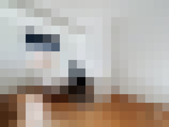  / #14