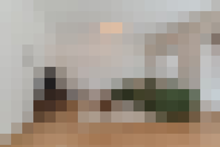 / #6