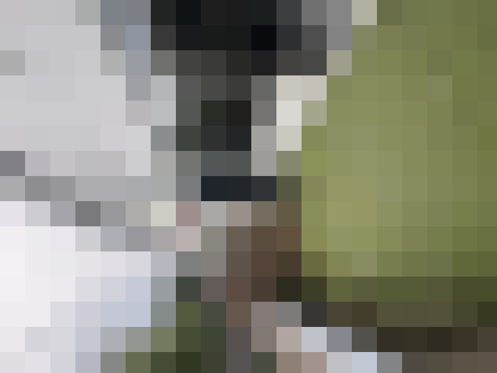  / #15