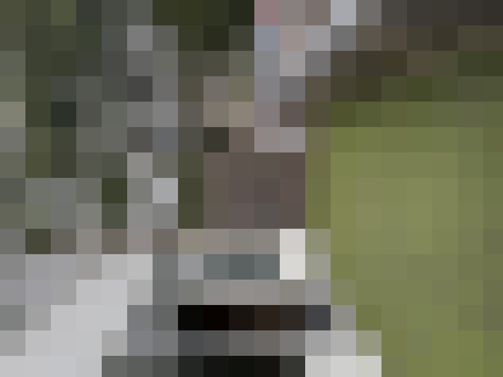  / #14