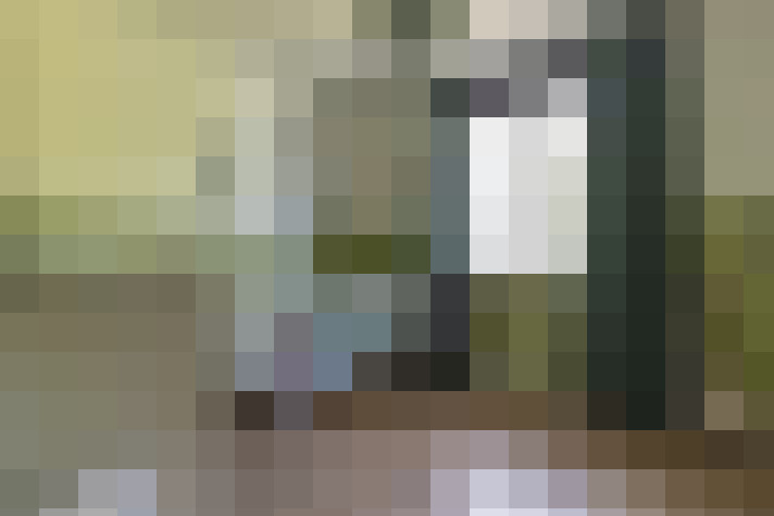  / #17