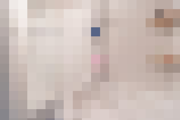  / #19