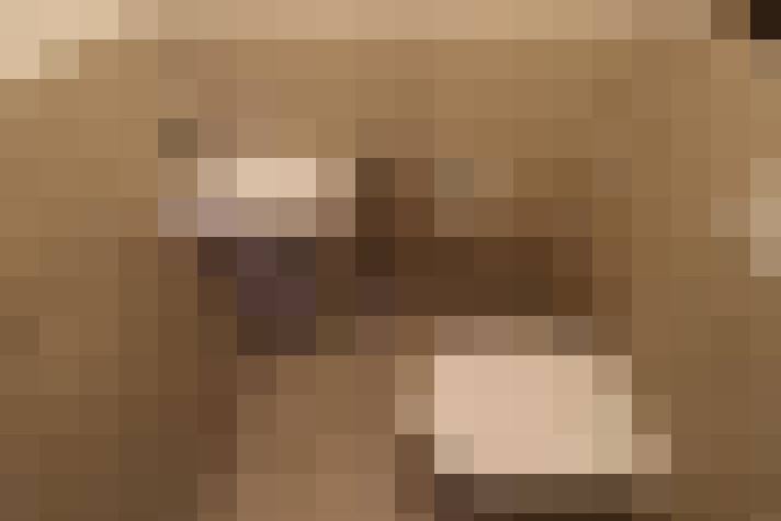  / #21