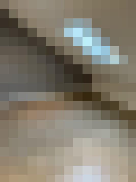  / #20