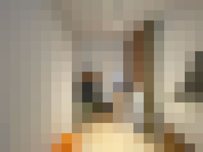  / #14