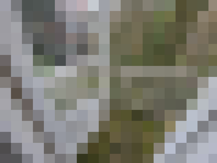  / #18