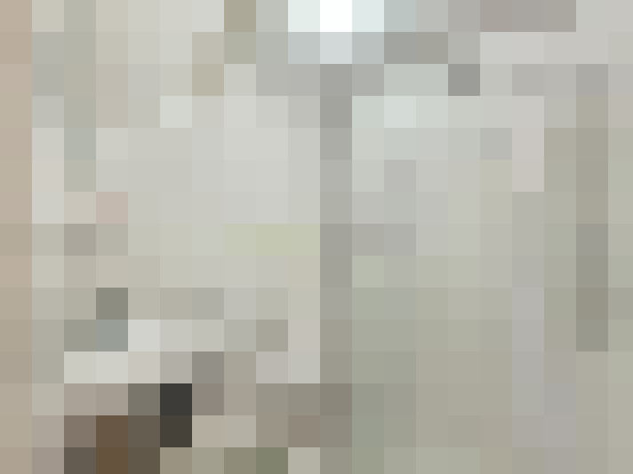  / #16
