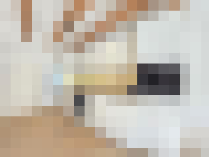  / #7