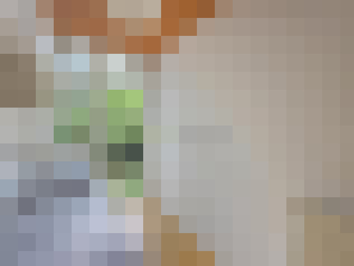  / #22