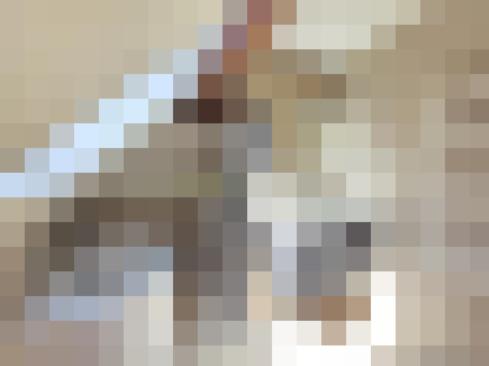  / #14