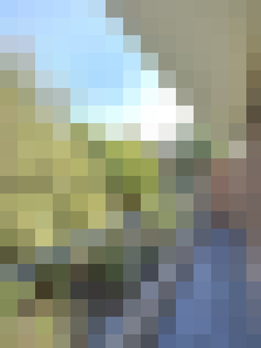  / #19