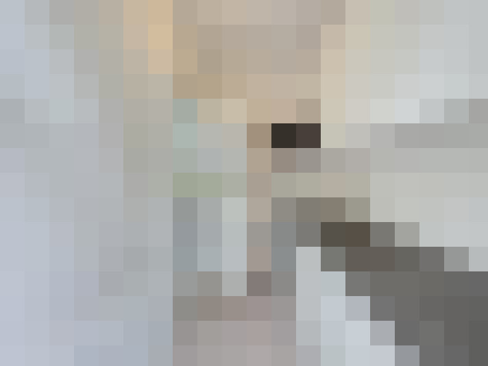  / #13