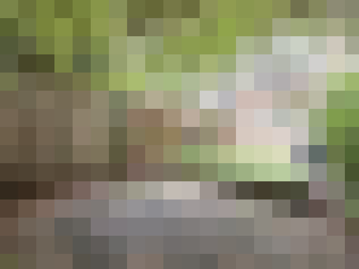  / #23
