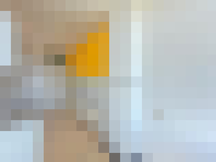  / #19