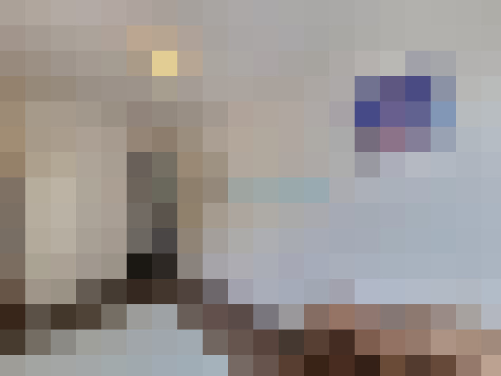  / #15
