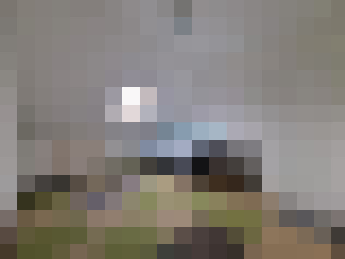  / #20