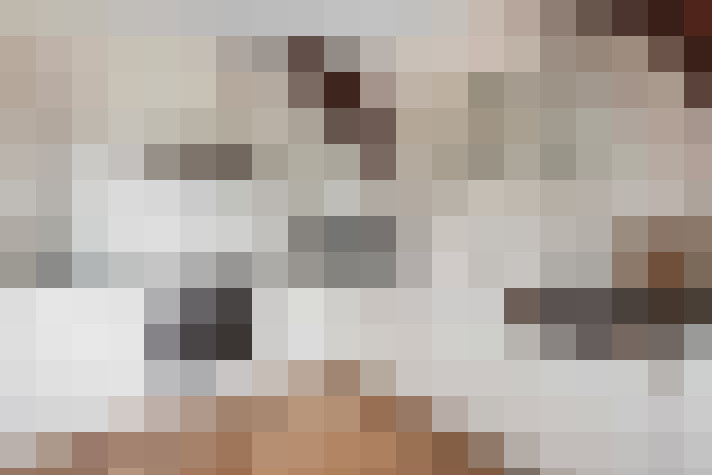  / #15