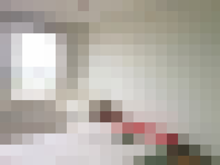  / #19