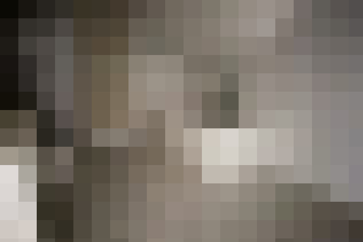  / #17