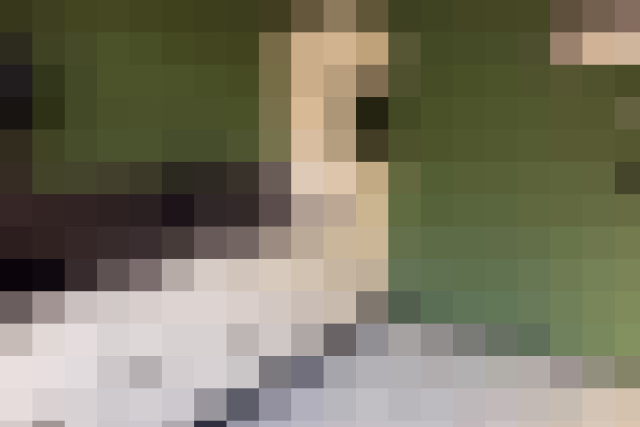  / #12