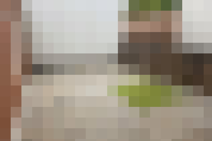 / #20