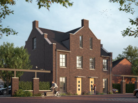 Dom — Bergen Op Zoom