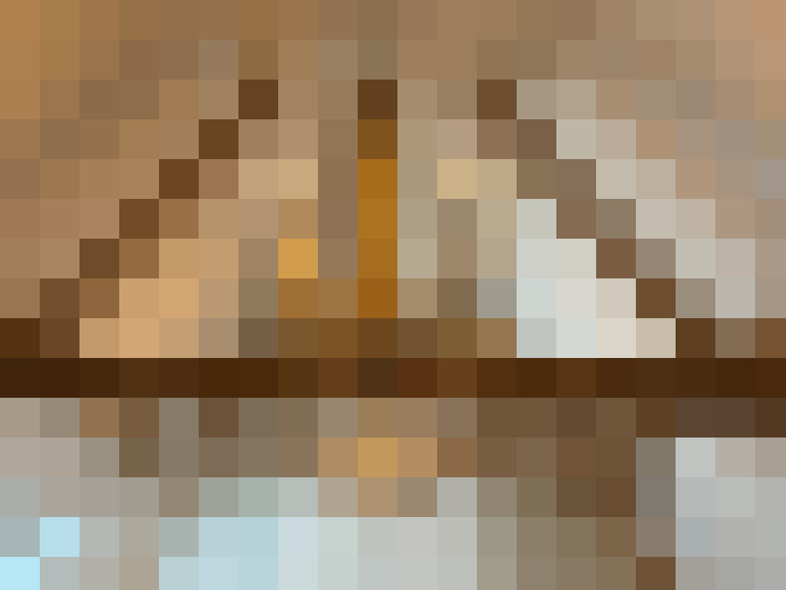  / #15