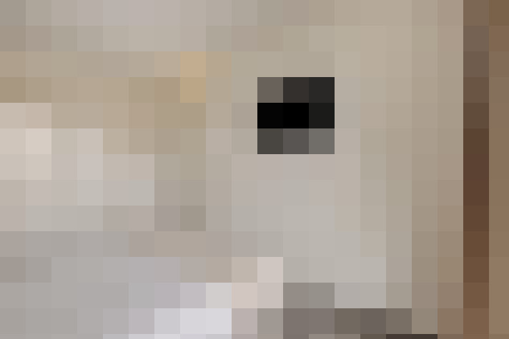  / #21