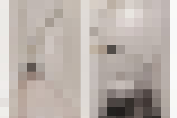  / #11