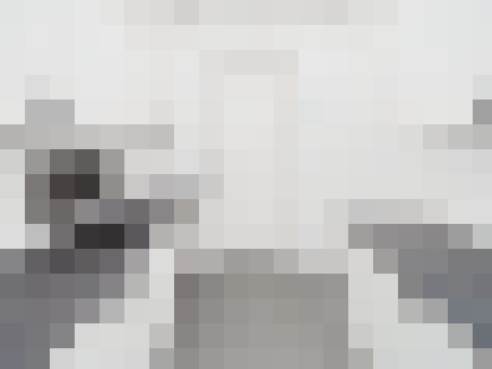  / #13