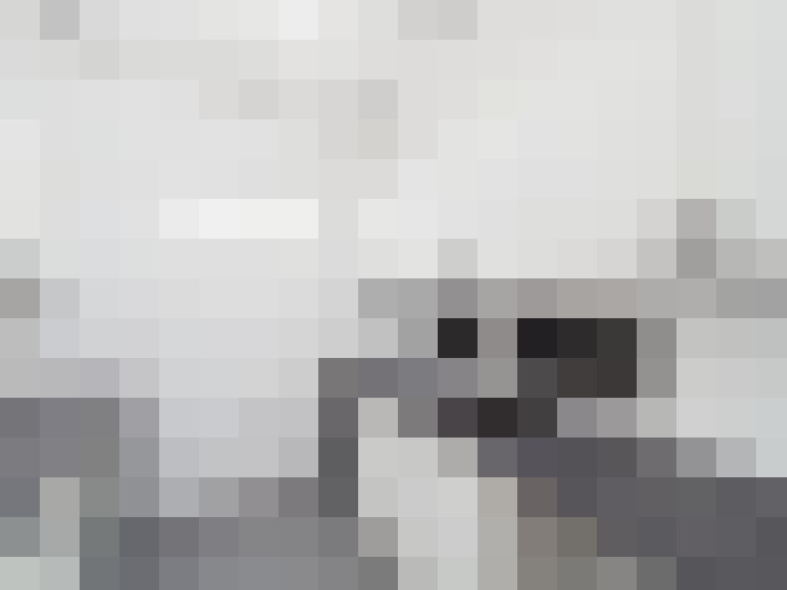  / #12