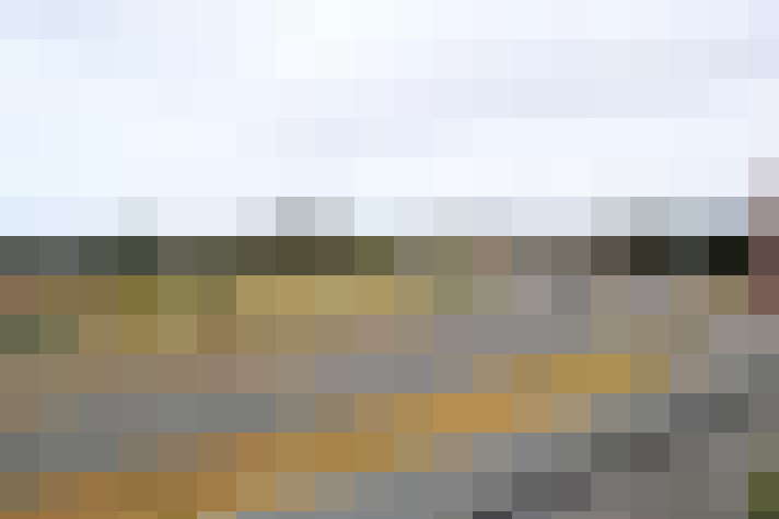  / #17
