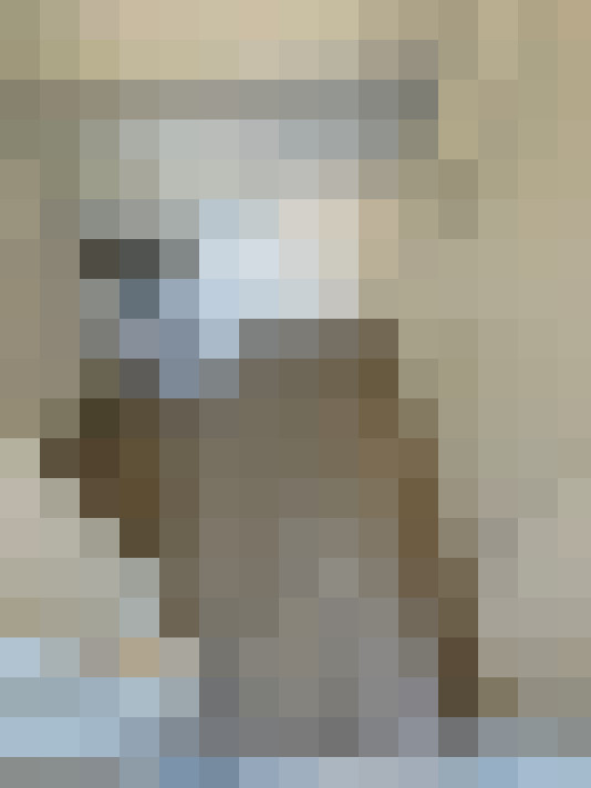  / #18