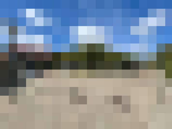  / #16