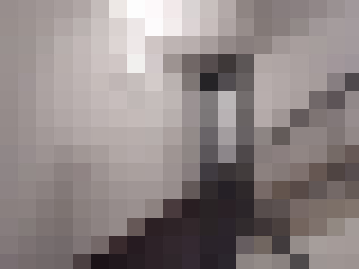  / #16