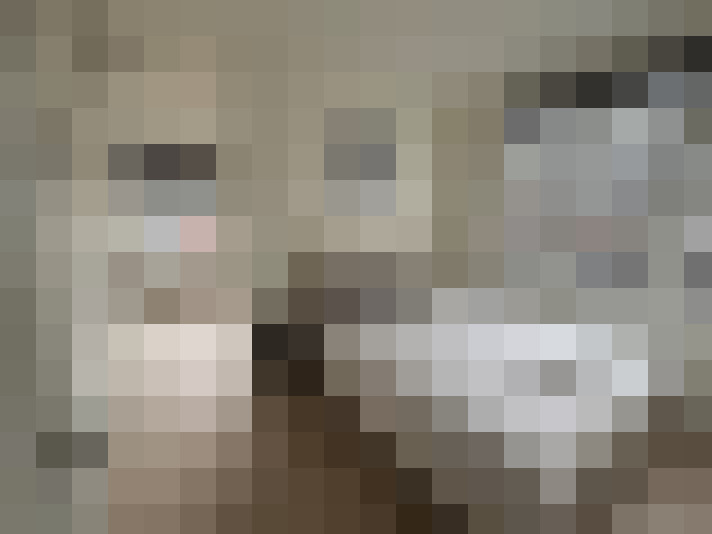  / #16