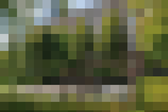  / #20