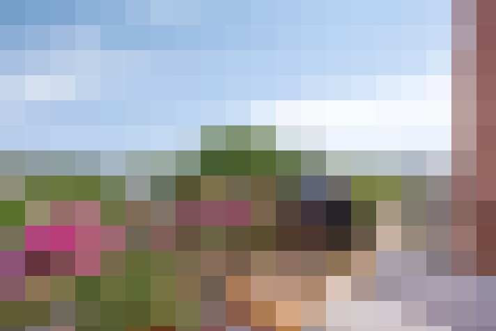  / #14